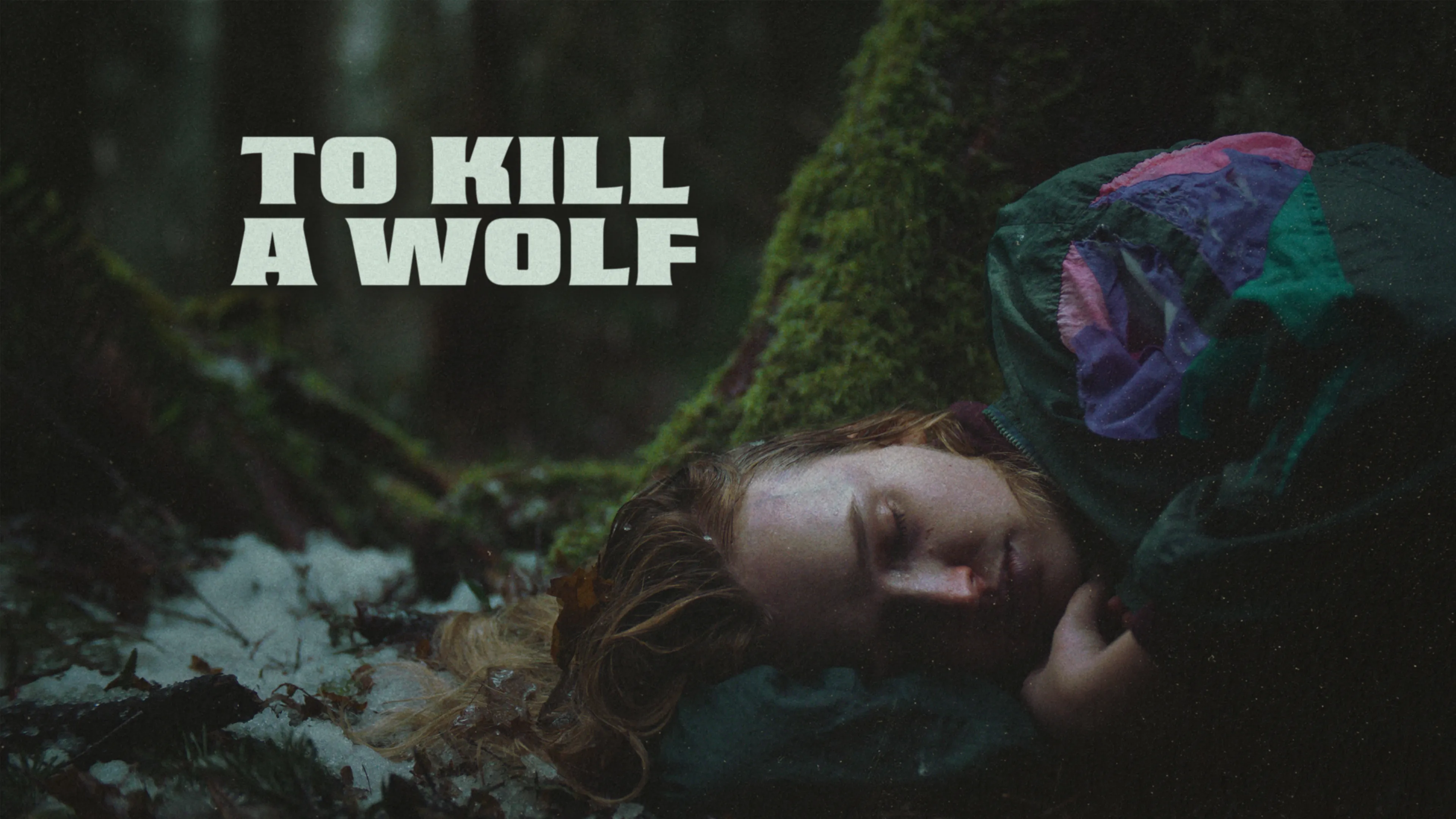 To Kill A Wolf poster